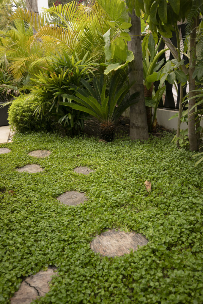 external space create for private property costa del sol