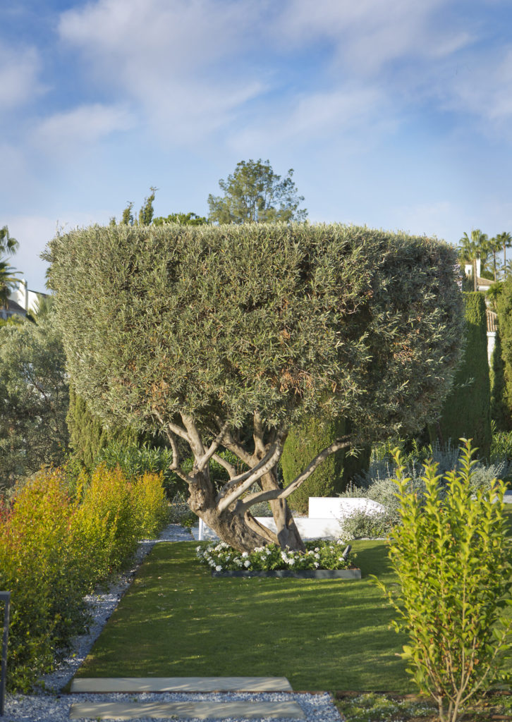 home outdoor environments