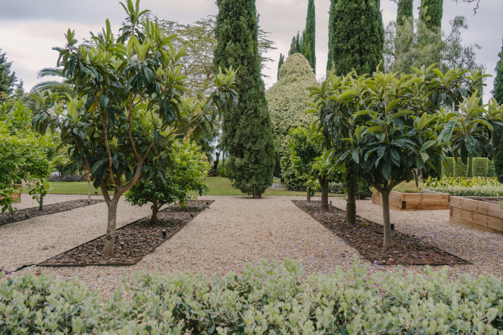 design projets costa del sol