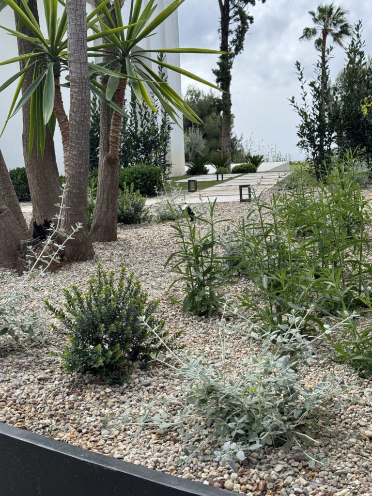 mediterranean luxury garden