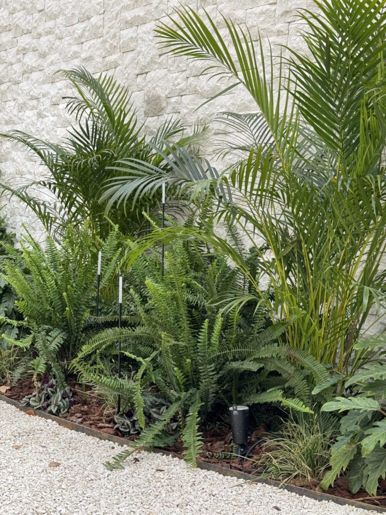 premium garden maintenance services