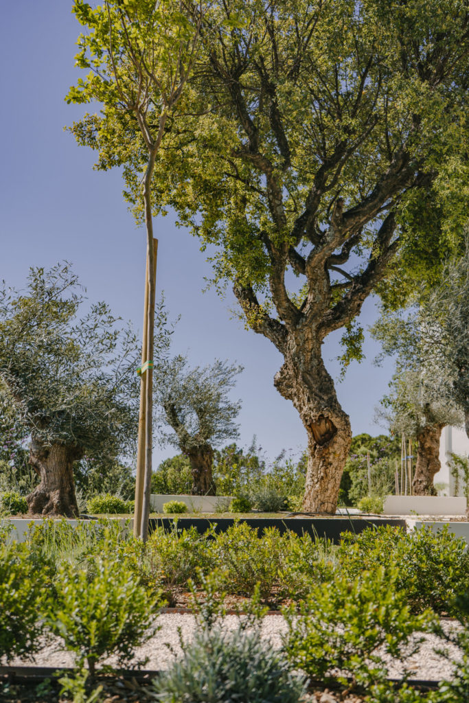 professional garden care costa del sol