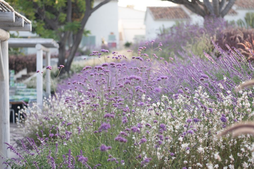 Maintenance costa del sol