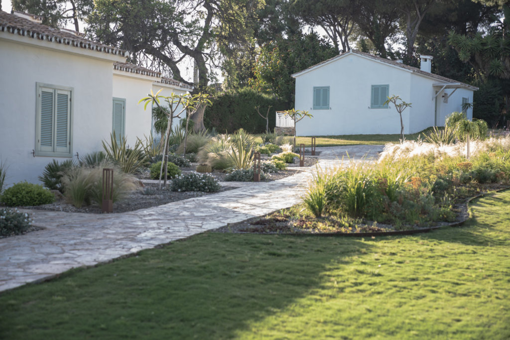 Mini Garden Design Mantenance